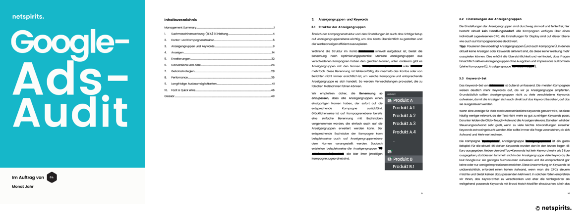 Beispiel Google-Ads-Audit