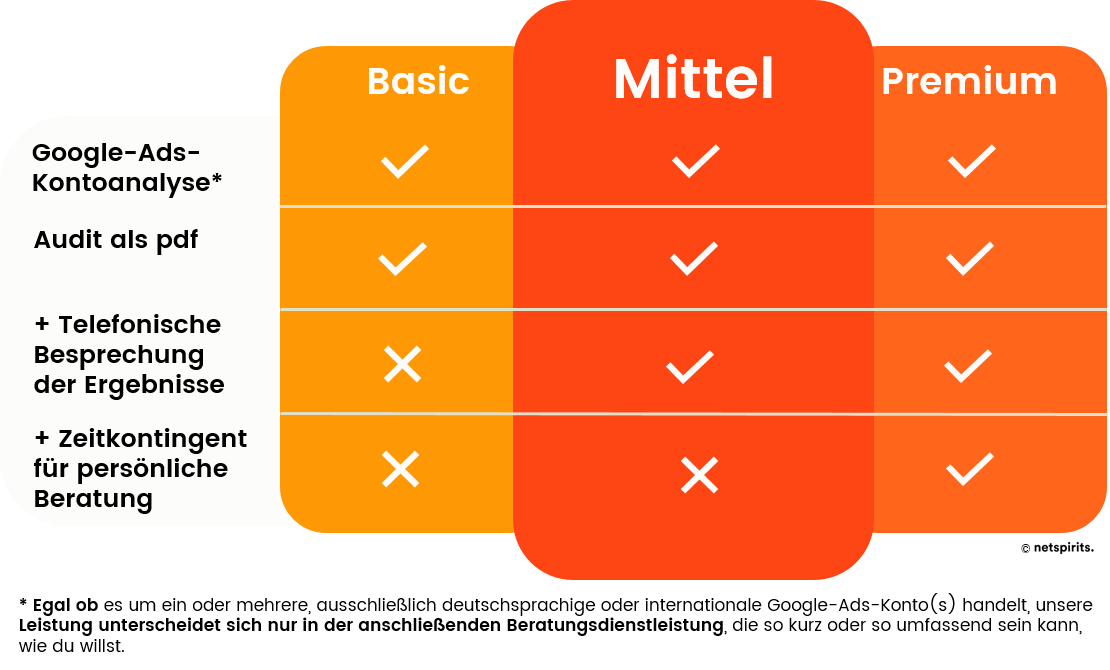 Preismodell Google-Ads-Audits von netspirits