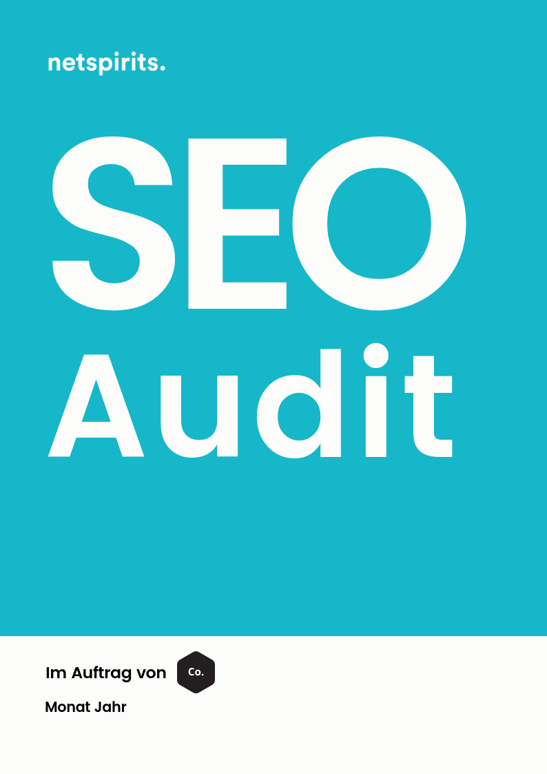 SEO-Audit von netspirits