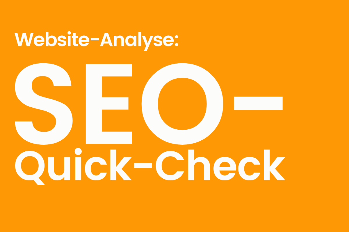 SEO-Quick-Check von netspirits