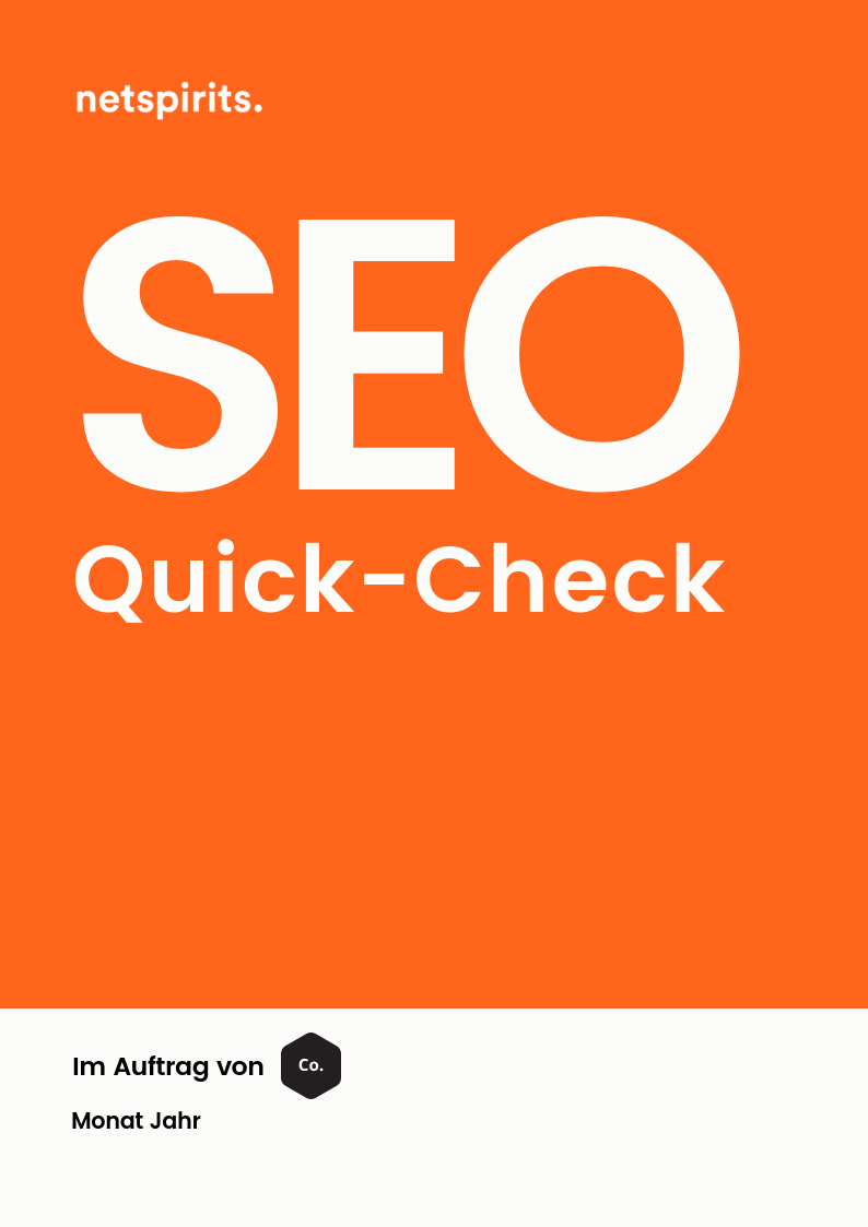 SEO-Quick-Check von netspirits