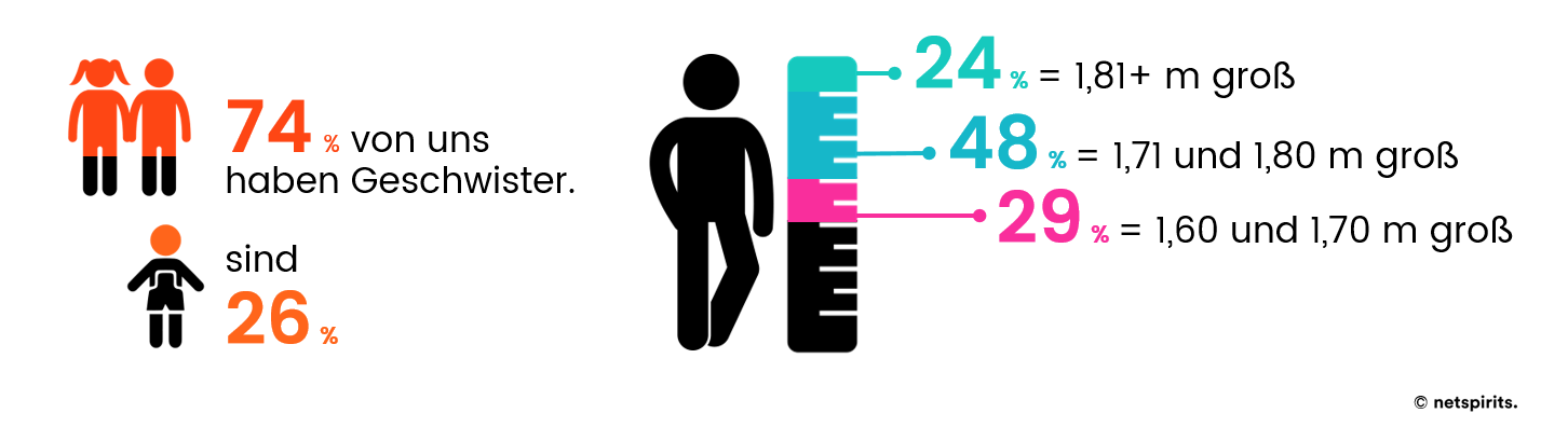 Infos über das netspirits-Team