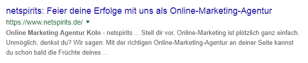 netspirits-Snippet auf der Suchergebnisseite